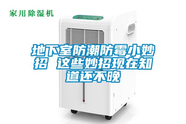 地下室防潮防霉小妙招 这些妙招现在知道还不晚