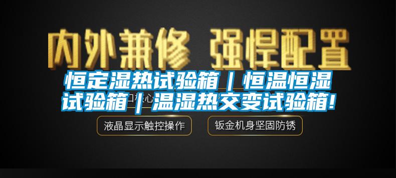 恒定湿热试验箱｜恒温恒湿试验箱｜温湿热交变试验箱!