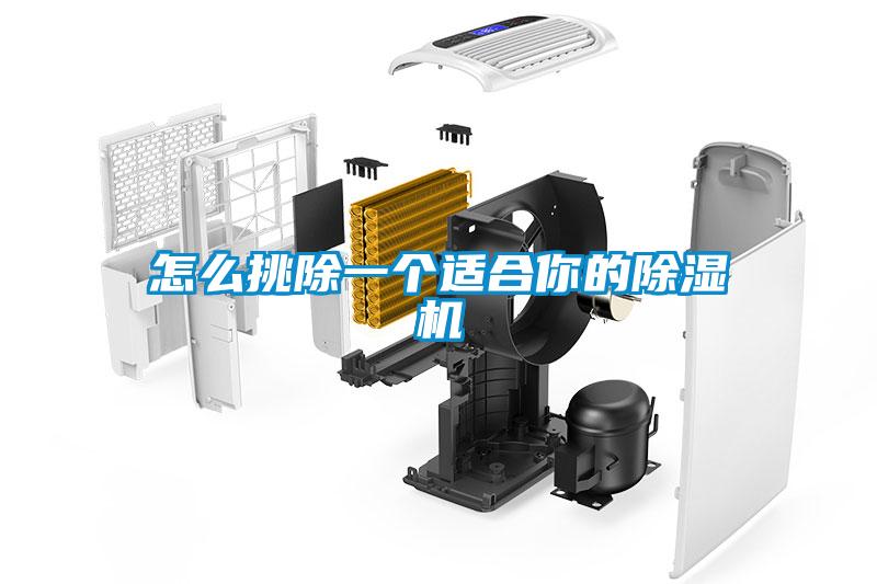 怎么挑除一个适合你的除湿机