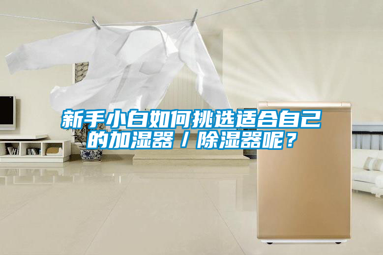 新手小白如何挑选适合自己的加湿器／除湿器呢？