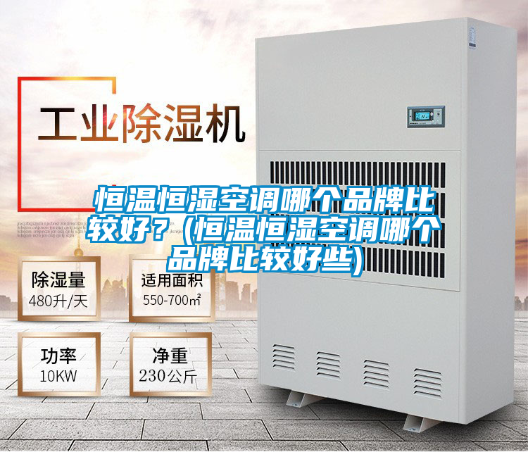 恒温恒湿空调哪个品牌比较好？(恒温恒湿空调哪个品牌比较好些)