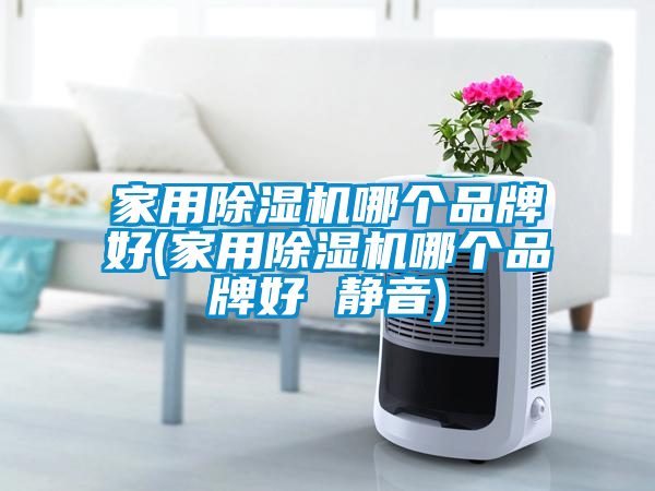 家用除湿机哪个品牌好(家用除湿机哪个品牌好 静音)