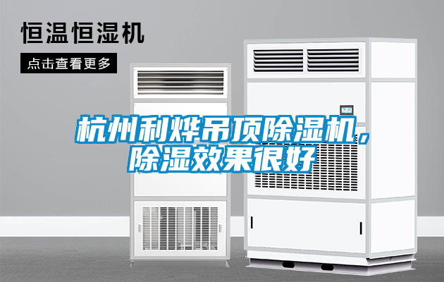 杭州利烨吊顶除湿机，除湿效果很好