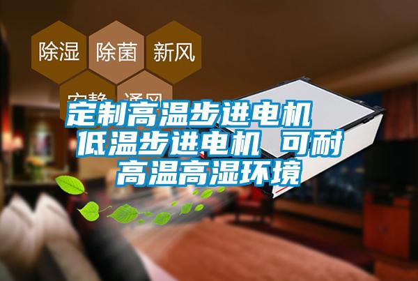 定制高温步进电机  低温步进电机 可耐高温高湿环境