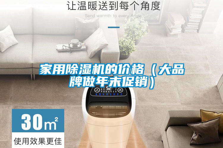 家用除湿机的价格（大品牌做年末促销）