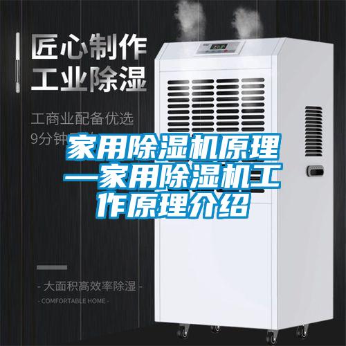 家用除湿机原理—家用除湿机工作原理介绍