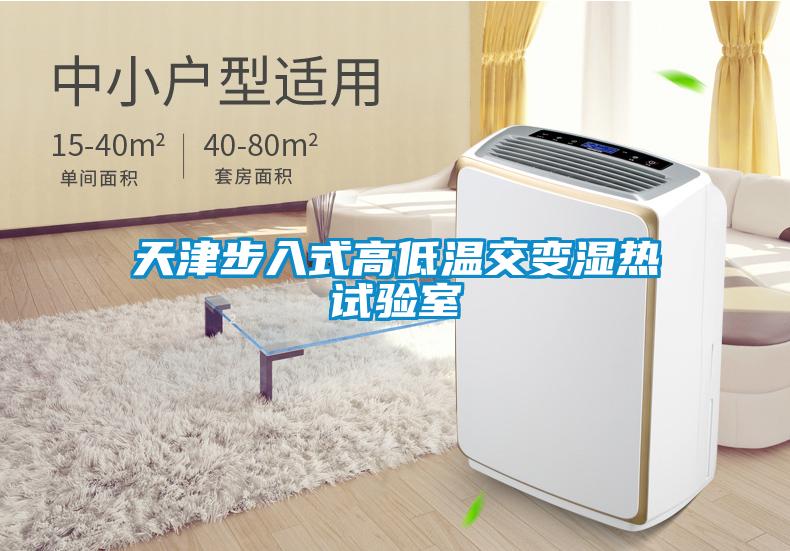 天津步入式高低温交变湿热试验室