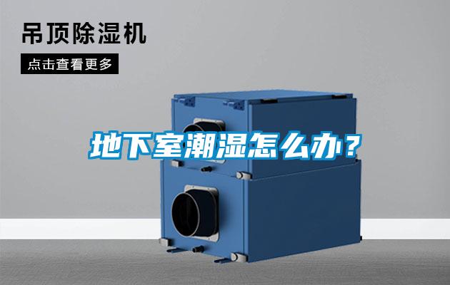 地下室潮湿怎么办？