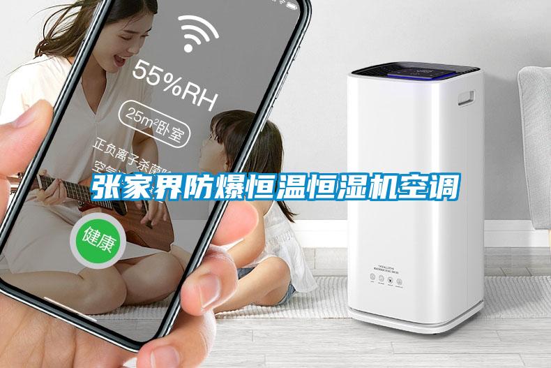 张家界防爆恒温恒湿机空调