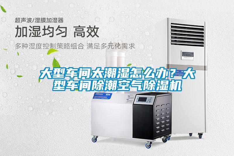 大型车间太潮湿怎么办？大型车间除潮空气除湿机