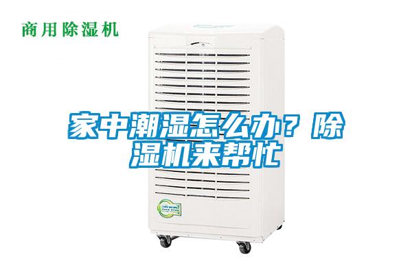 家中潮湿怎么办？除湿机来帮忙