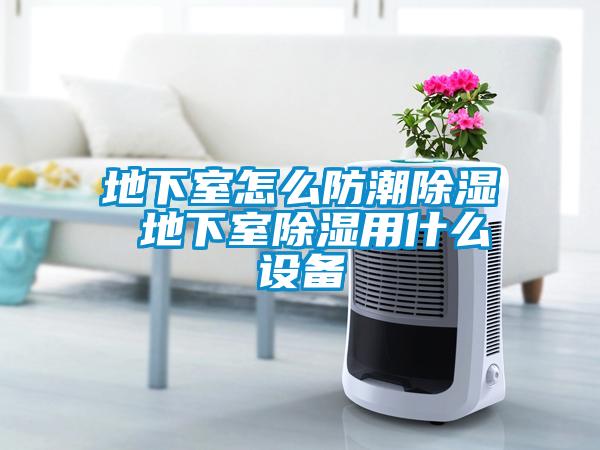 地下室怎么防潮除湿 地下室除湿用什么设备