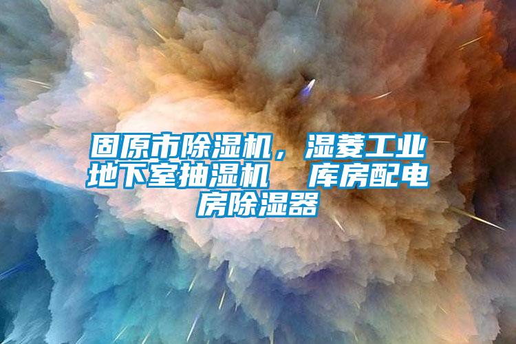 固原市除湿机，湿菱工业地下室抽湿机  库房配电房除湿器