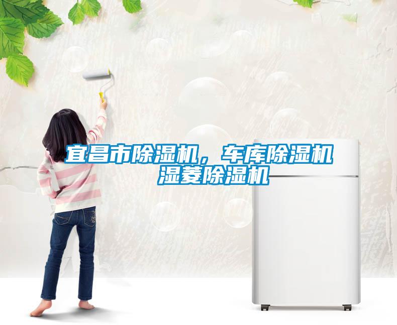 宜昌市除湿机，车库除湿机  湿菱除湿机