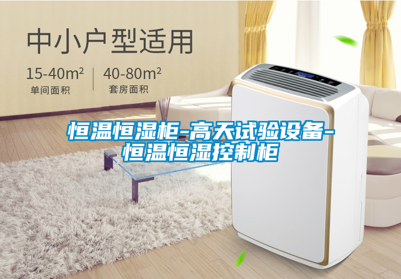 恒温恒湿柜-高天试验设备-恒温恒湿控制柜