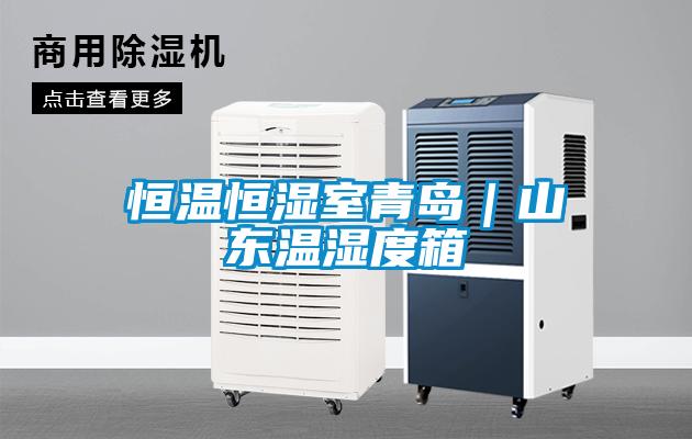 恒温恒湿室青岛｜山东温湿度箱