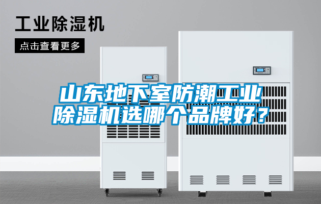 山东地下室防潮工业除湿机选哪个品牌好？