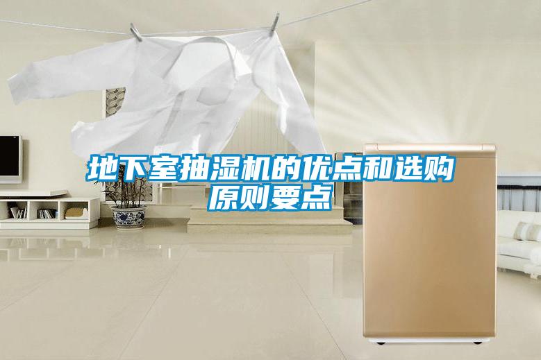 地下室抽湿机的优点和选购原则要点