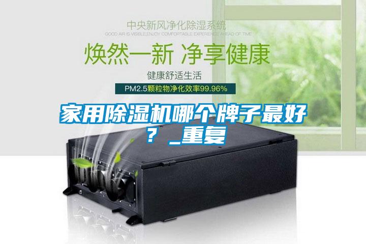 家用除湿机哪个牌子最好？_重复