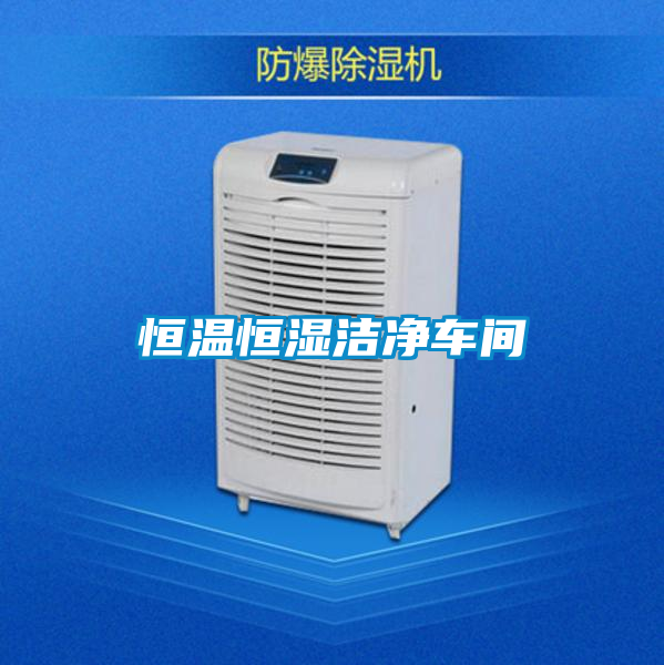 恒温恒湿洁净车间