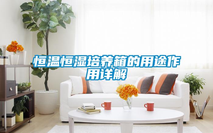 恒温恒湿培养箱的用途作用详解