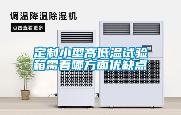 定制小型高低温试验箱需看哪方面优缺点