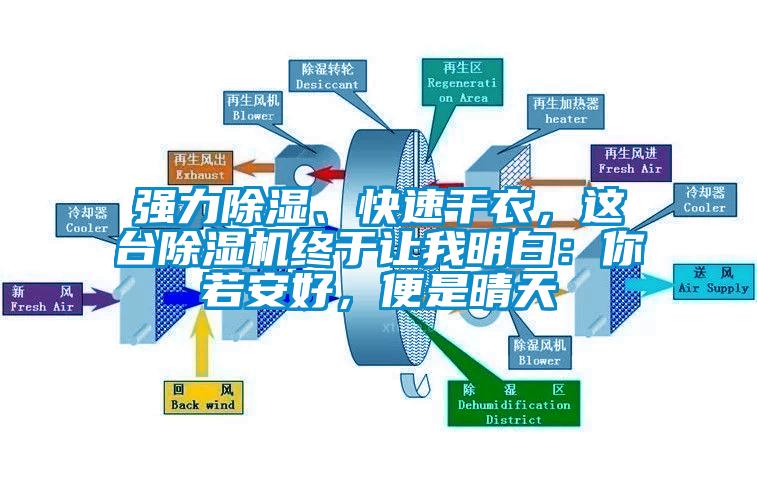 强力除湿、快速干衣，这台除湿机终于让我明白：你若安好，便是晴天