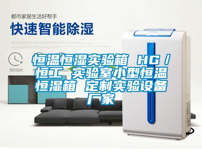 恒温恒湿实验箱 HG／恒工 实验室小型恒温恒湿箱 定制实验设备厂家