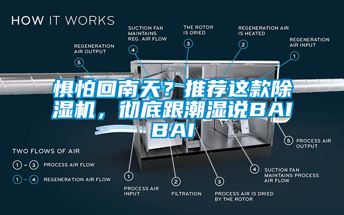 惧怕回南天？推荐这款除湿机，彻底跟潮湿说BAIBAI