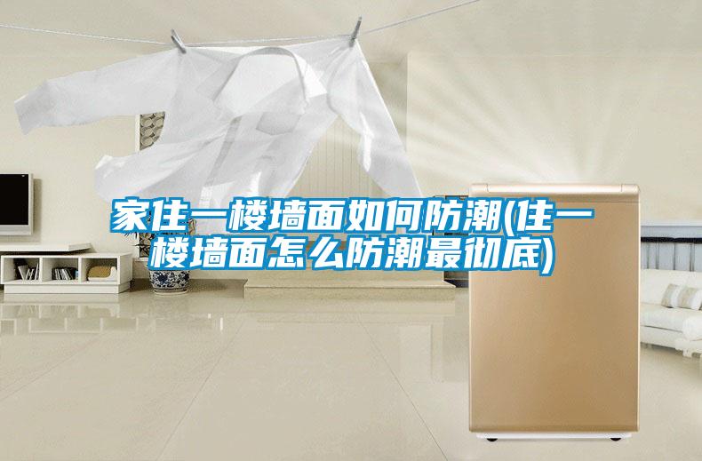 家住一楼墙面如何防潮(住一楼墙面怎么防潮最彻底)