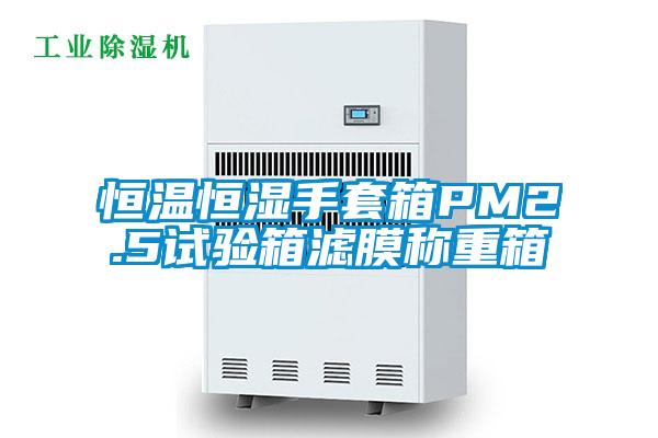 恒温恒湿手套箱PM2.5试验箱滤膜称重箱
