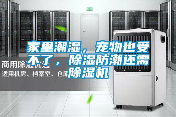 家里潮湿，宠物也受不了，除湿防潮还需除湿机
