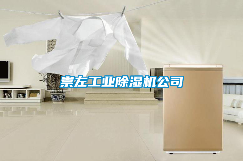 崇左工业除湿机公司