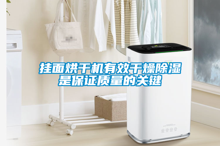 挂面烘干机有效干燥除湿是保证质量的关键