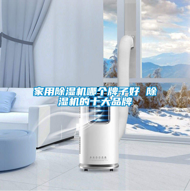 家用除湿机哪个牌子好 除湿机的十大品牌