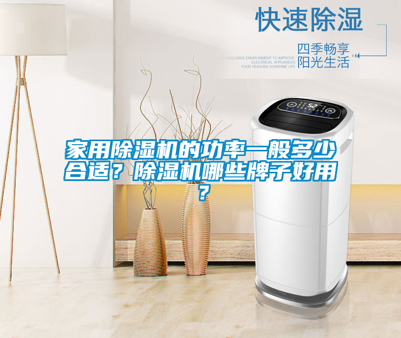 家用除湿机的功率一般多少合适？除湿机哪些牌子好用？