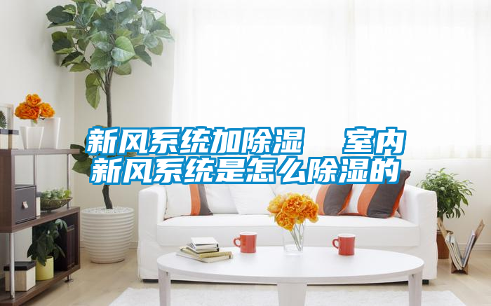新风系统加除湿  室内新风系统是怎么除湿的