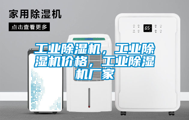 工业除湿机，工业除湿机价格，工业除湿机厂家
