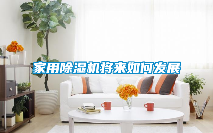 家用除湿机将来如何发展