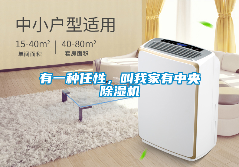 有一种任性，叫我家有中央除湿机