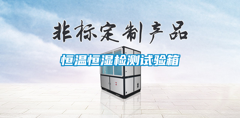 恒温恒湿检测试验箱