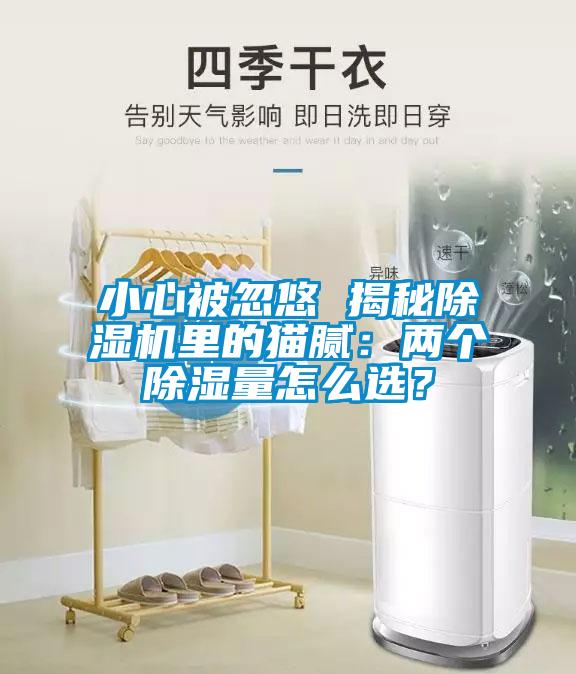 小心被忽悠 揭秘除湿机里的猫腻：两个除湿量怎么选？