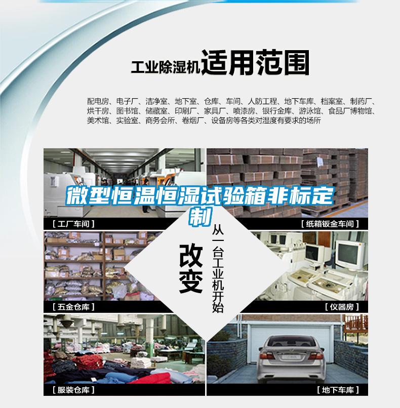 微型恒温恒湿试验箱非标定制