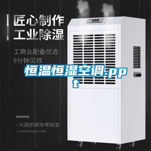 恒温恒湿空调.ppt