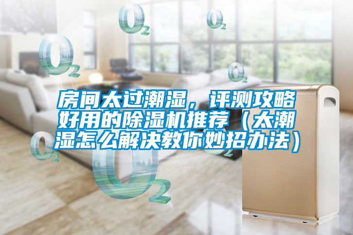 房间太过潮湿，评测攻略好用的除湿机推荐（太潮湿怎么解决教你妙招办法）
