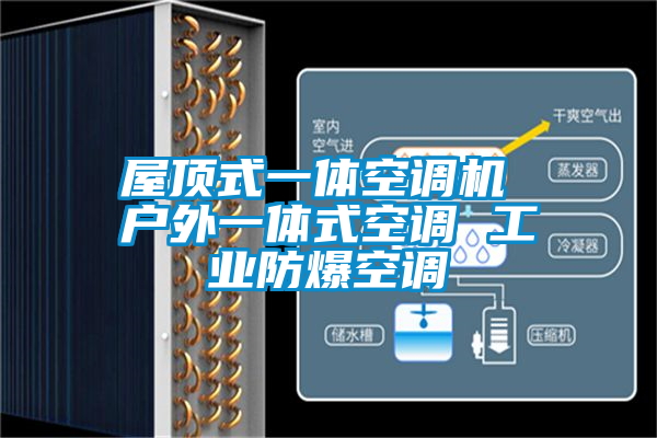 屋顶式一体空调机 户外一体式空调 工业防爆空调