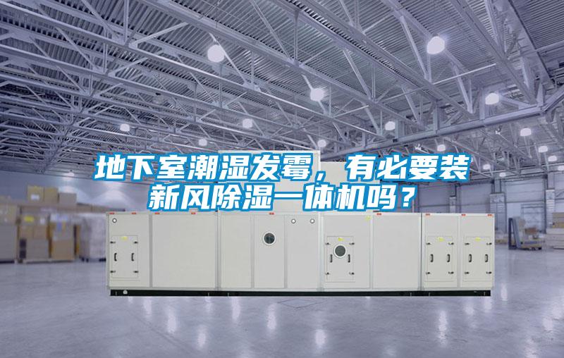地下室潮湿发霉，有必要装新风除湿一体机吗？