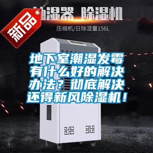地下室潮湿发霉有什么好的解决办法？彻底解决还得新风除湿机！
