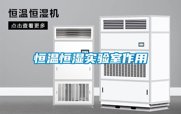 恒温恒湿实验室作用