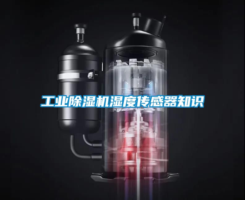 工业除湿机湿度传感器知识